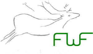 logo-footer